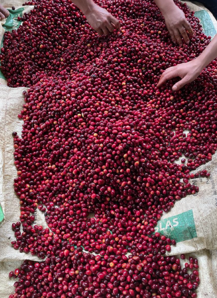 Mesa de trabajo 1 copia 10