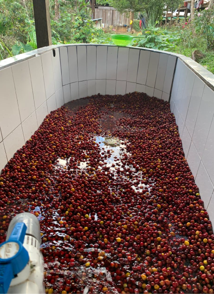 Mesa de trabajo 1 copia 10