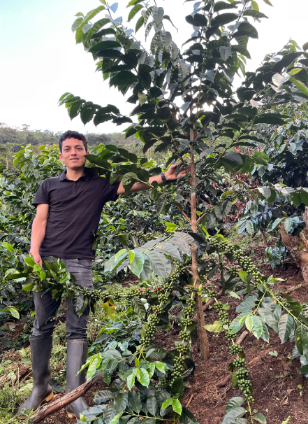 Mesa de trabajo 1 copia 10