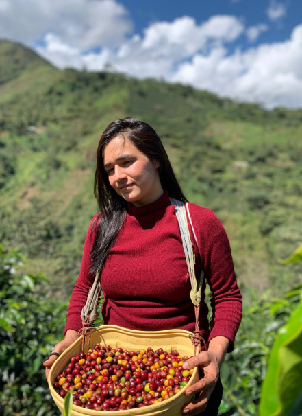 Mesa de trabajo 1 copia 10