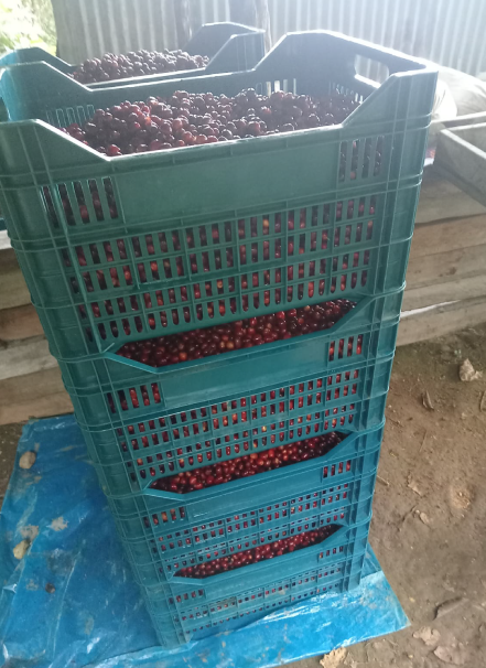 Mesa de trabajo 1 copia 10