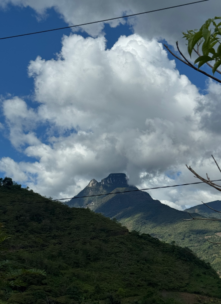 Mesa de trabajo 1 copia 11