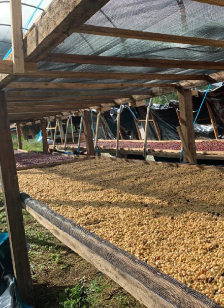 Mesa de trabajo 1 copia 11