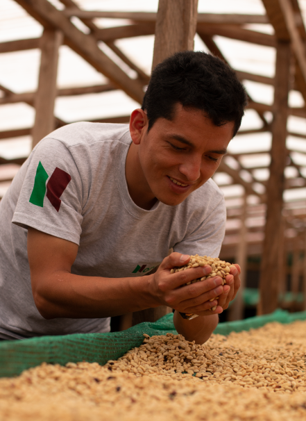 Mesa de trabajo 1 copia 11