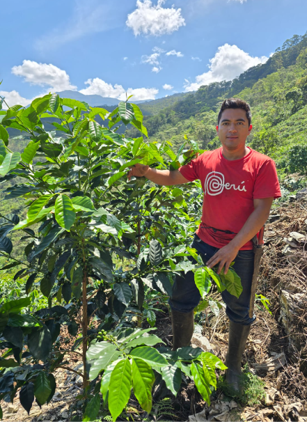 Mesa de trabajo 1 copia 12