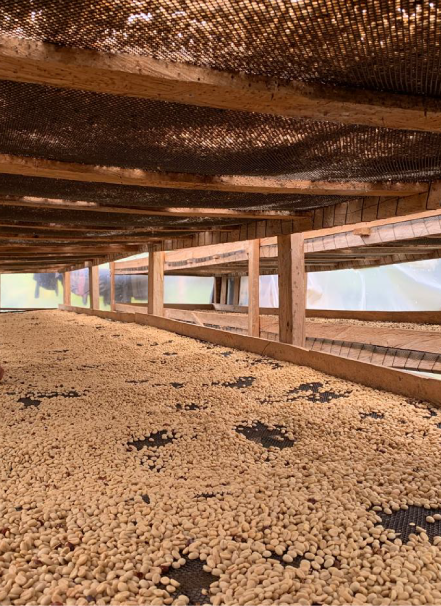 Mesa de trabajo 1 copia 13