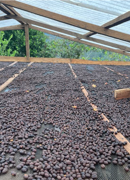 Mesa de trabajo 1 copia 13