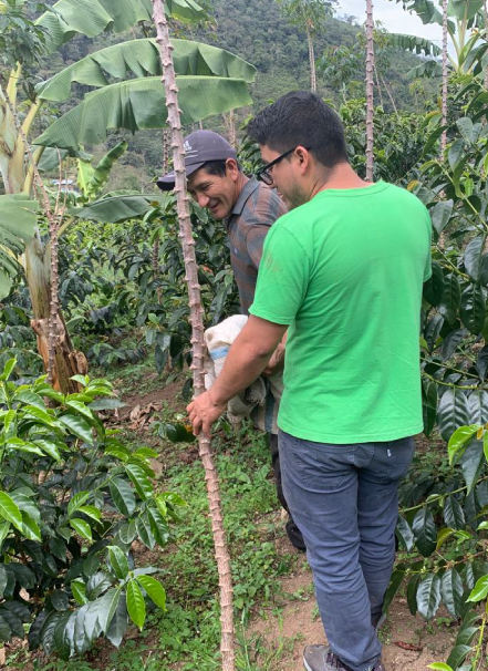 Mesa de trabajo 1 copia 13