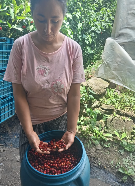 Mesa de trabajo 1 copia 4