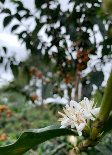 Mesa de trabajo 1 copia 4