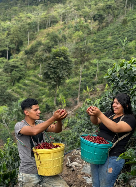 Mesa de trabajo 1 copia 4