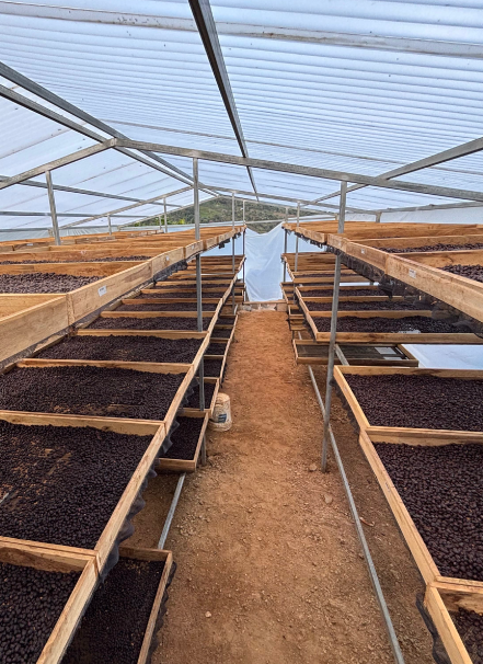 Mesa de trabajo 1 copia 4