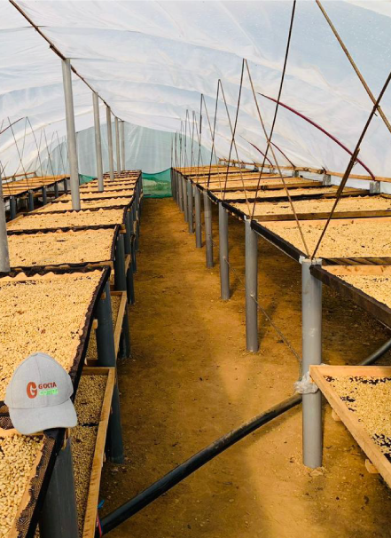 Mesa de trabajo 1 copia 4