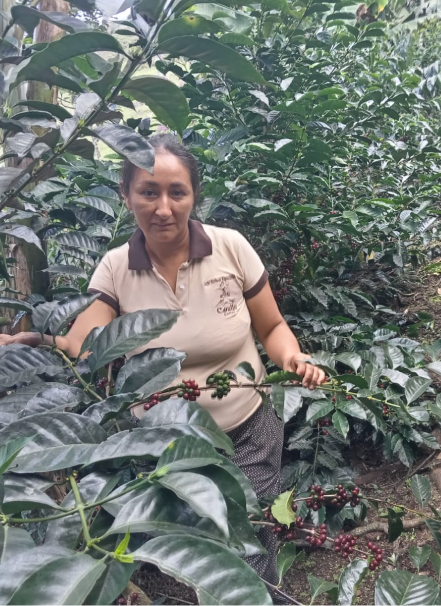 Mesa de trabajo 1 copia 5