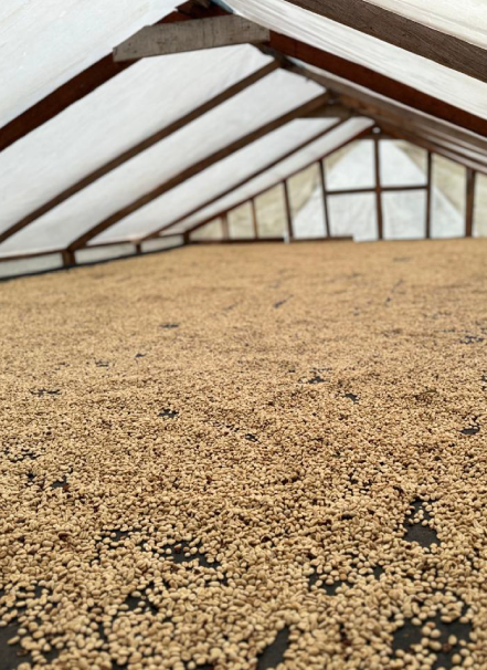 Mesa de trabajo 1 copia 5