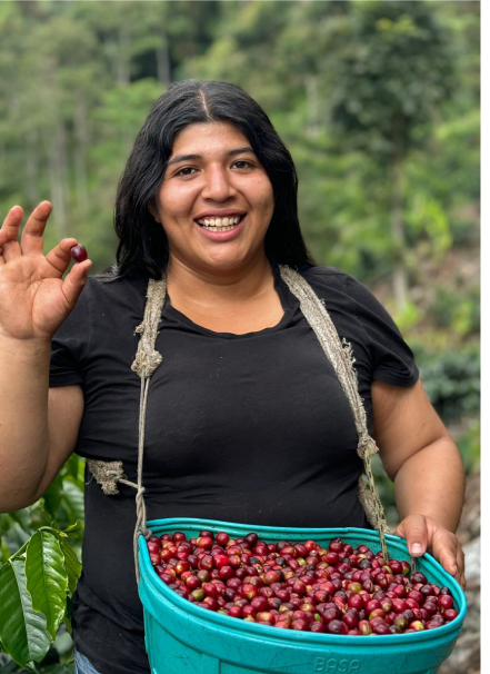 Mesa de trabajo 1 copia 5