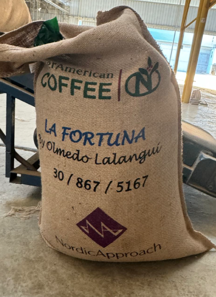 Mesa de trabajo 1 copia 5