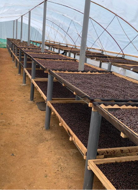 Mesa de trabajo 1 copia 5