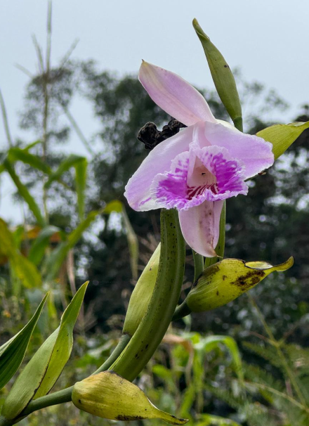 Mesa de trabajo 1 copia 6