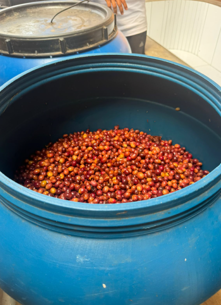 Mesa de trabajo 1 copia 6