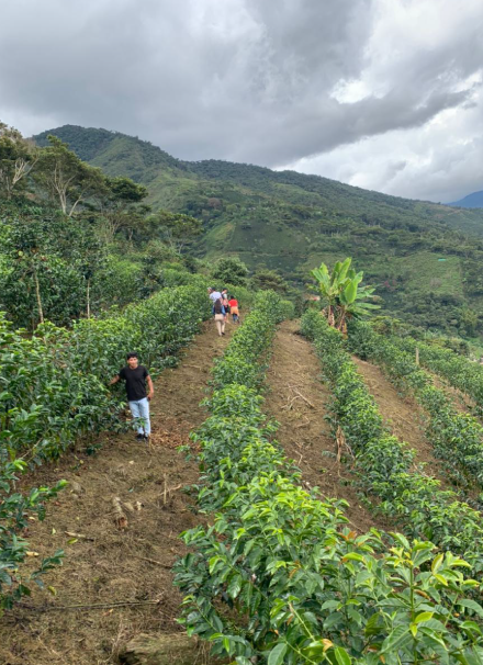 Mesa de trabajo 1 copia 6
