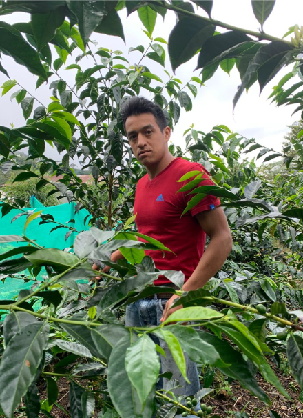 Mesa de trabajo 1 copia 6