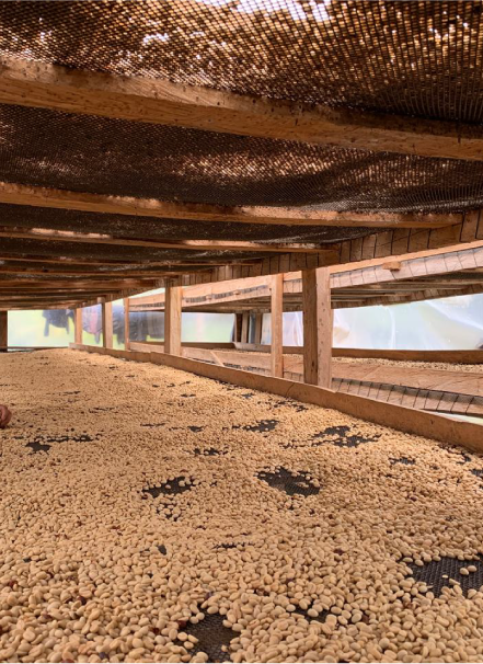 Mesa de trabajo 1 copia 7