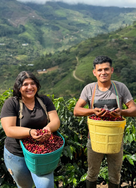 Mesa de trabajo 1 copia 7