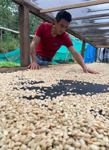 Mesa de trabajo 1 copia 7