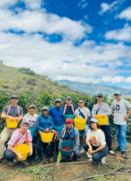 Mesa de trabajo 1 copia 7