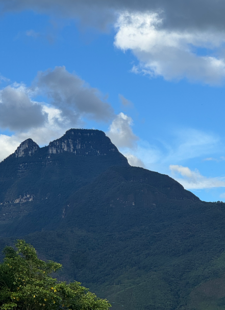 Mesa de trabajo 1 copia 8