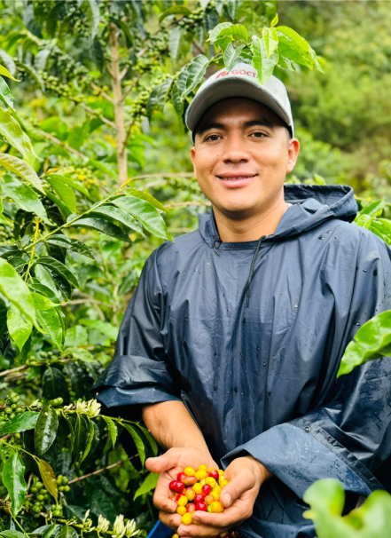 Mesa de trabajo 1 copia 8