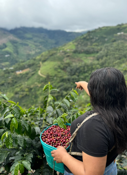 Mesa de trabajo 1 copia 8