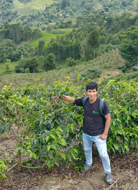 Mesa de trabajo 1 copia 8