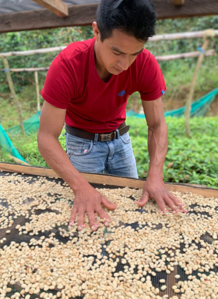 Mesa de trabajo 1 copia 8