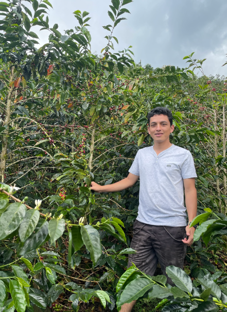 Mesa de trabajo 1 copia 8