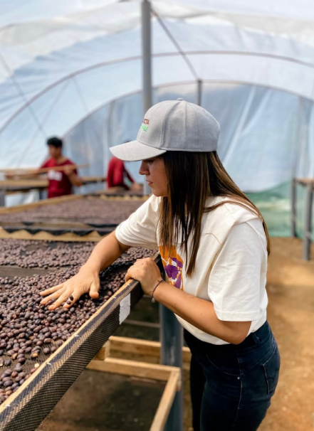 Mesa de trabajo 1 copia 8