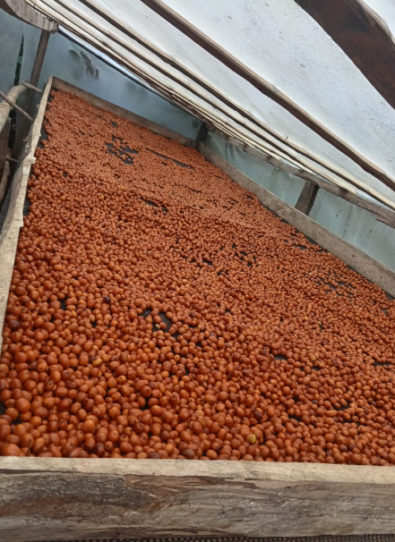 Mesa de trabajo 1 copia 8