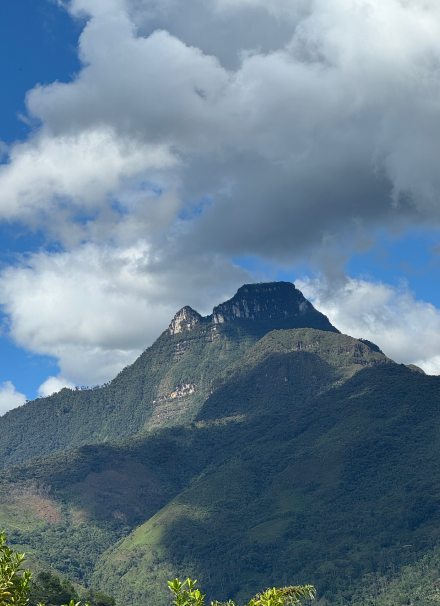 Mesa de trabajo 1 copia 9