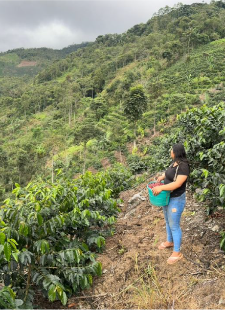 Mesa de trabajo 1 copia 9