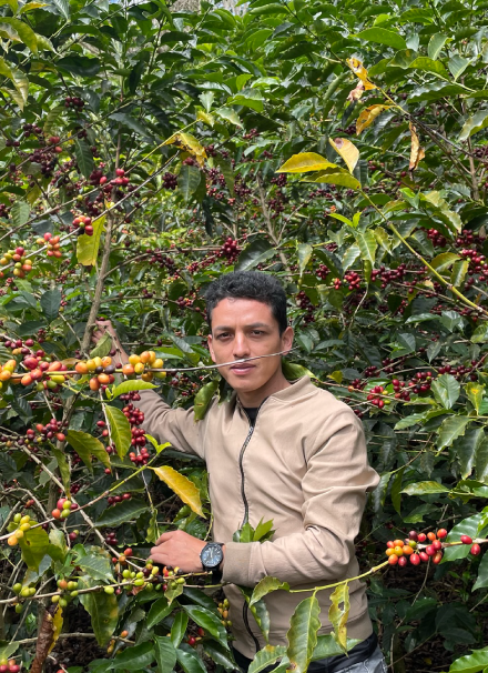 Mesa de trabajo 1 copia 9