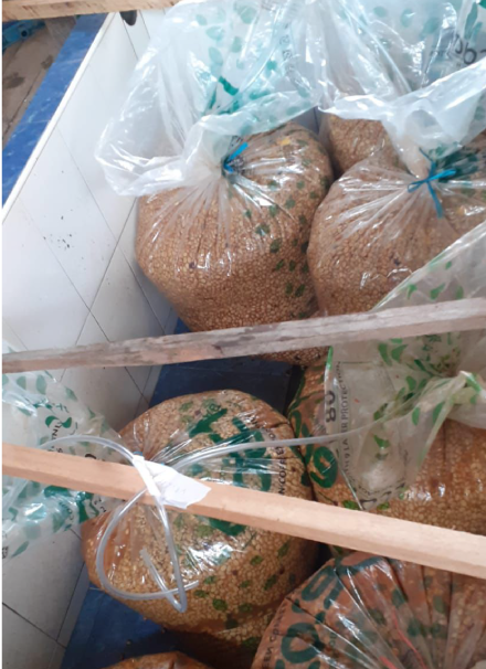 Mesa de trabajo 1 copia 9